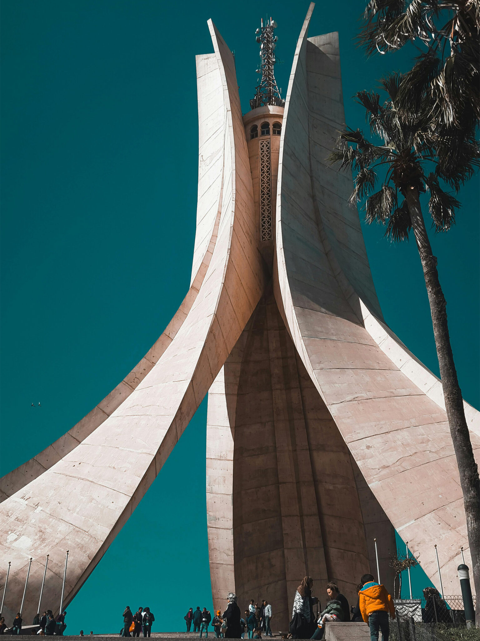 pexels-abdelhak-sami-bagou-8798170