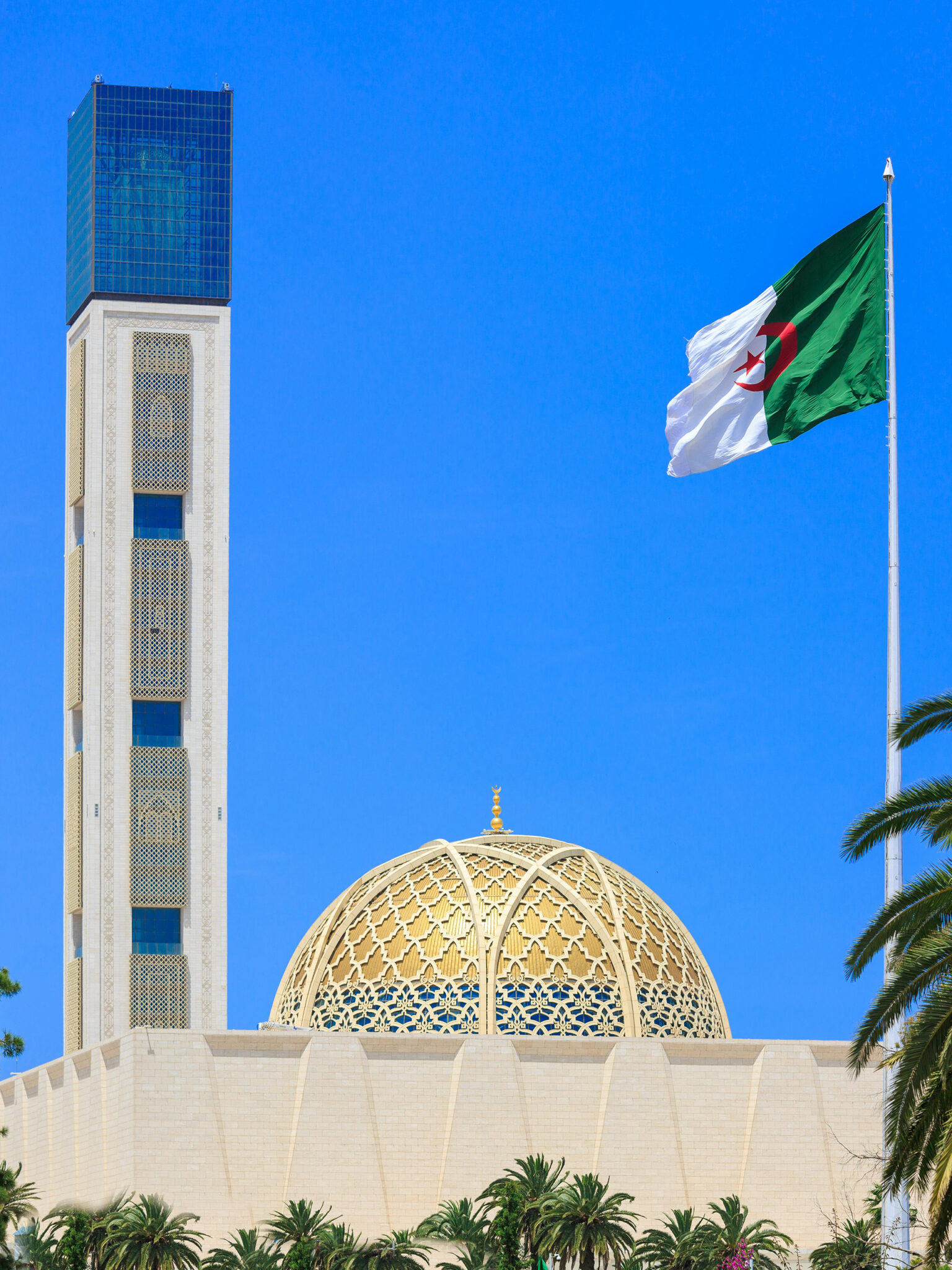 pexels-djamel-ramdani-15844943