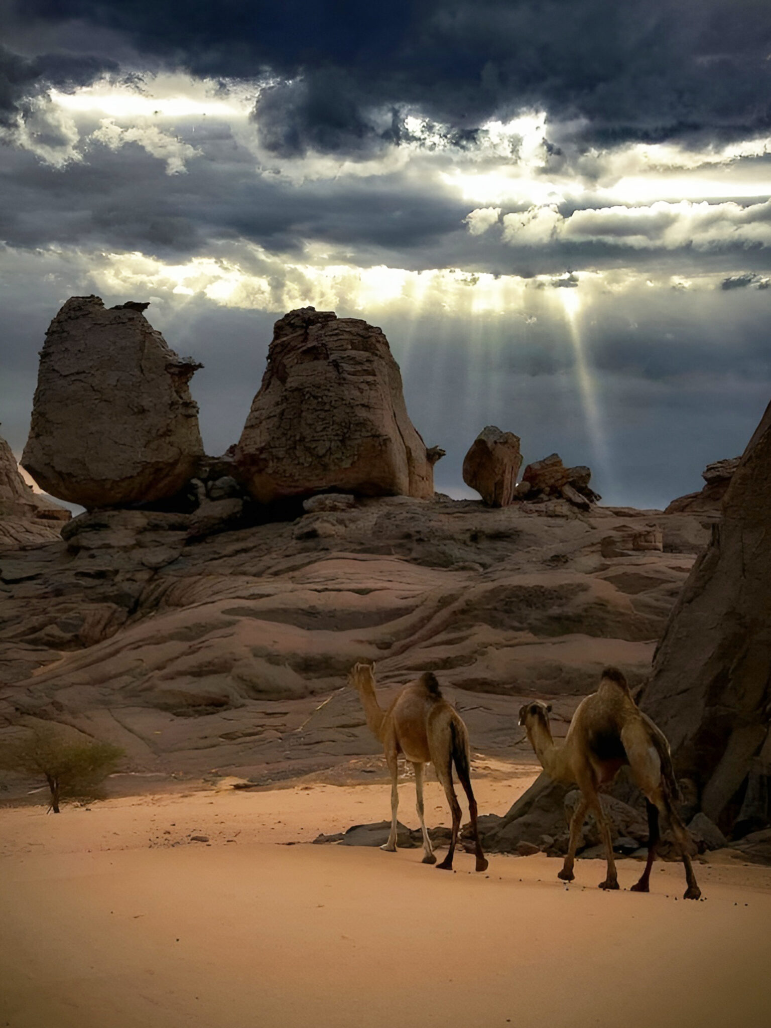 1e96a3c7a1b880761b3bcf6676f53f07 (1)