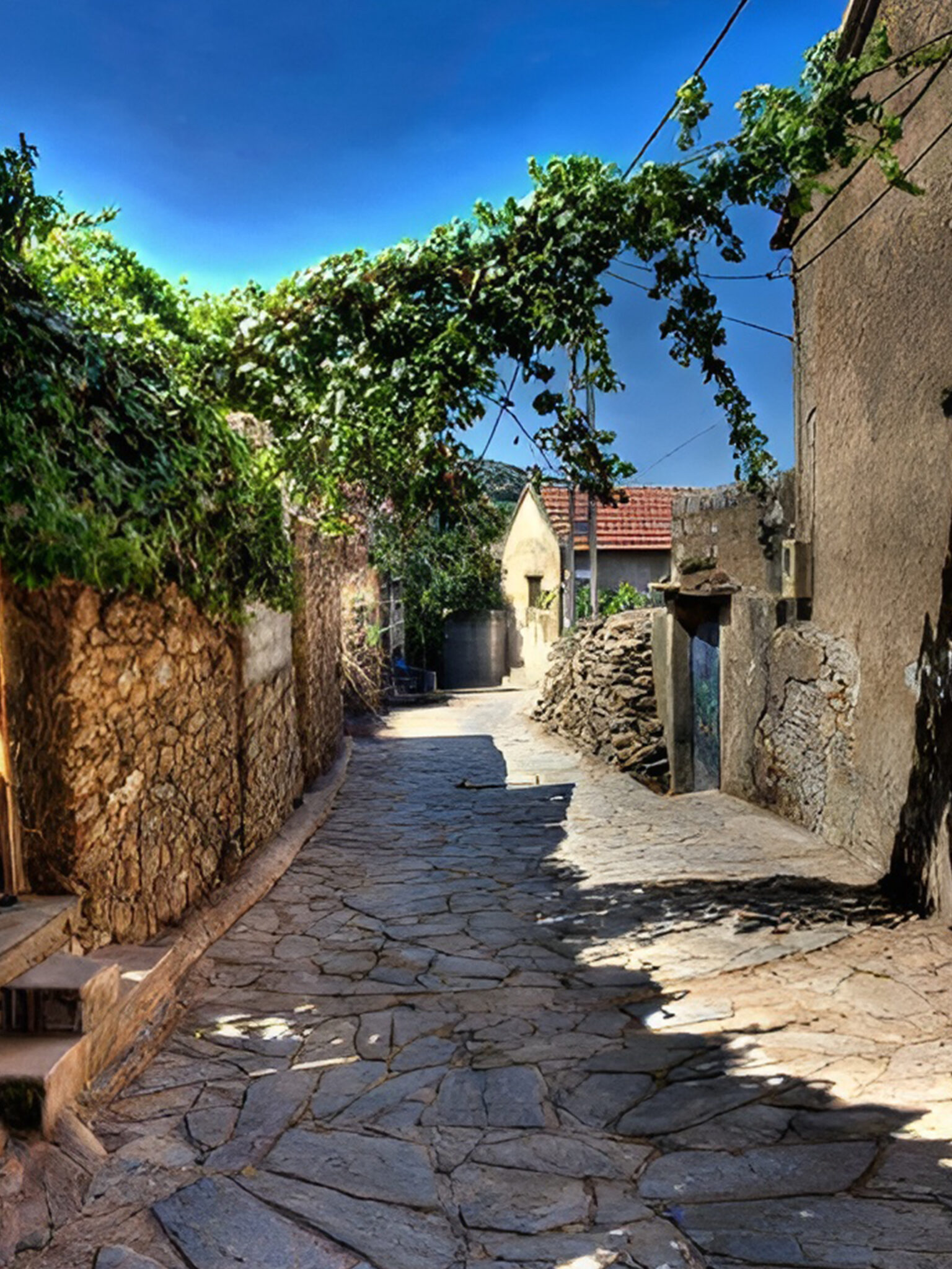 1efa76809be8de3199b9c66fa9957ba5 (1)