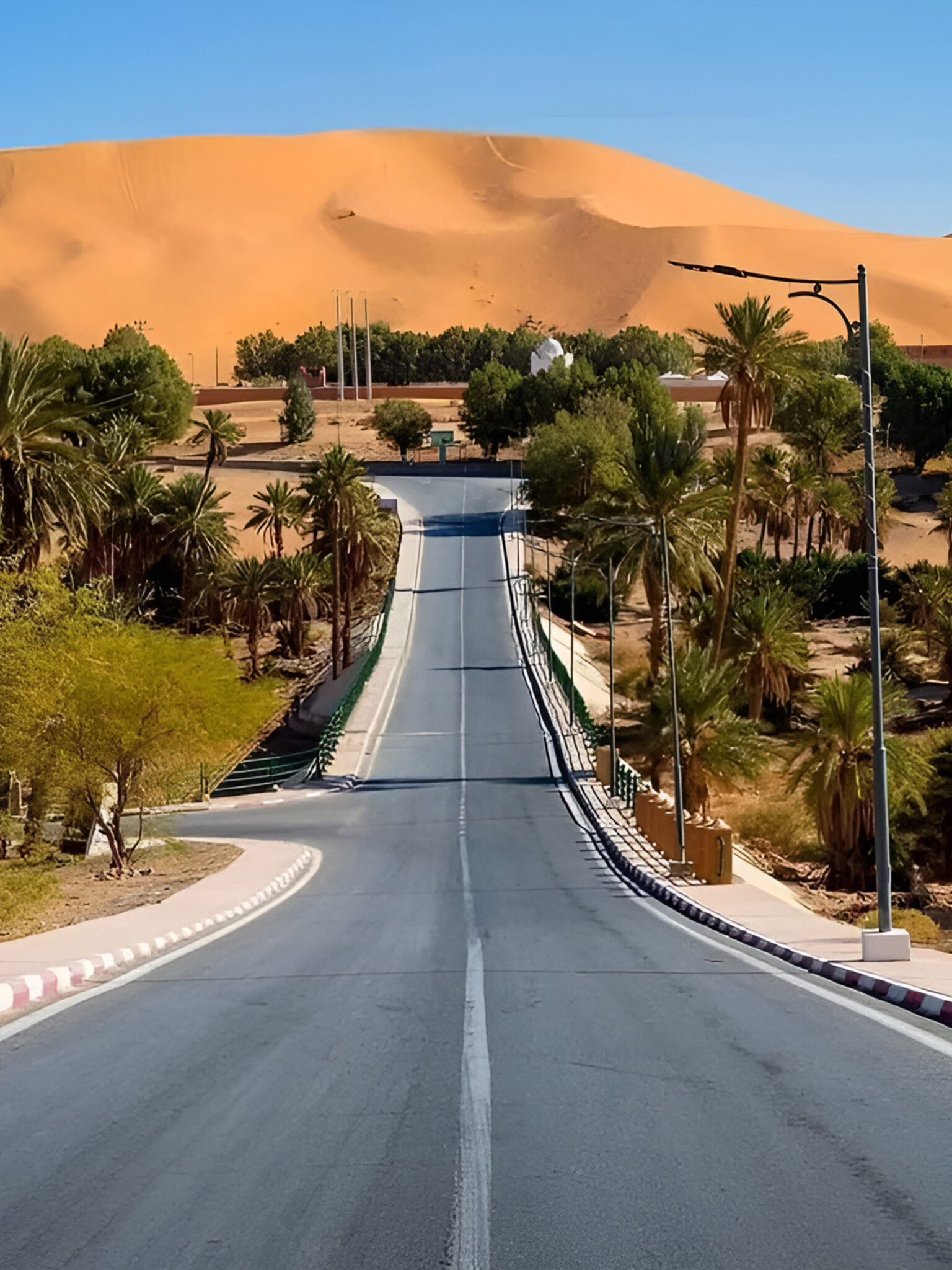 28cc694eab04f61b646599da26692d16 (1)