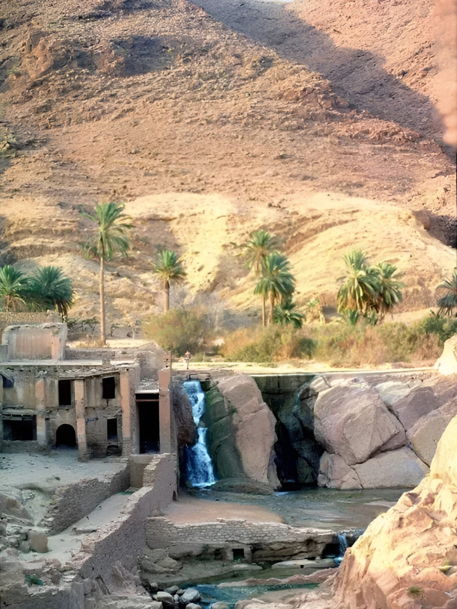 2d6a38d292c1ad4e8a73bf81fa1fe258 (1)