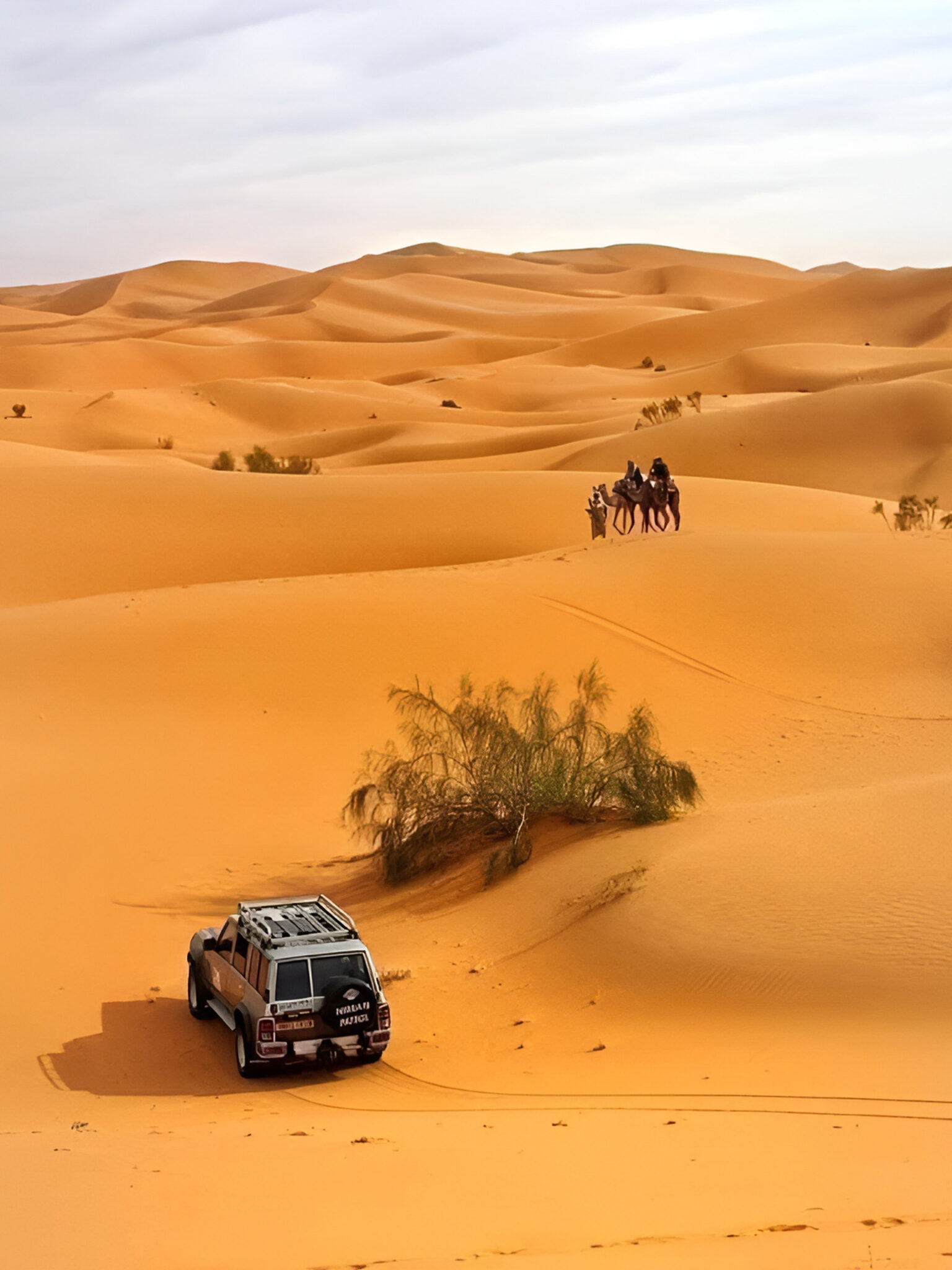 54ee0aa04810792f71d7849a1ff7a17e (1)