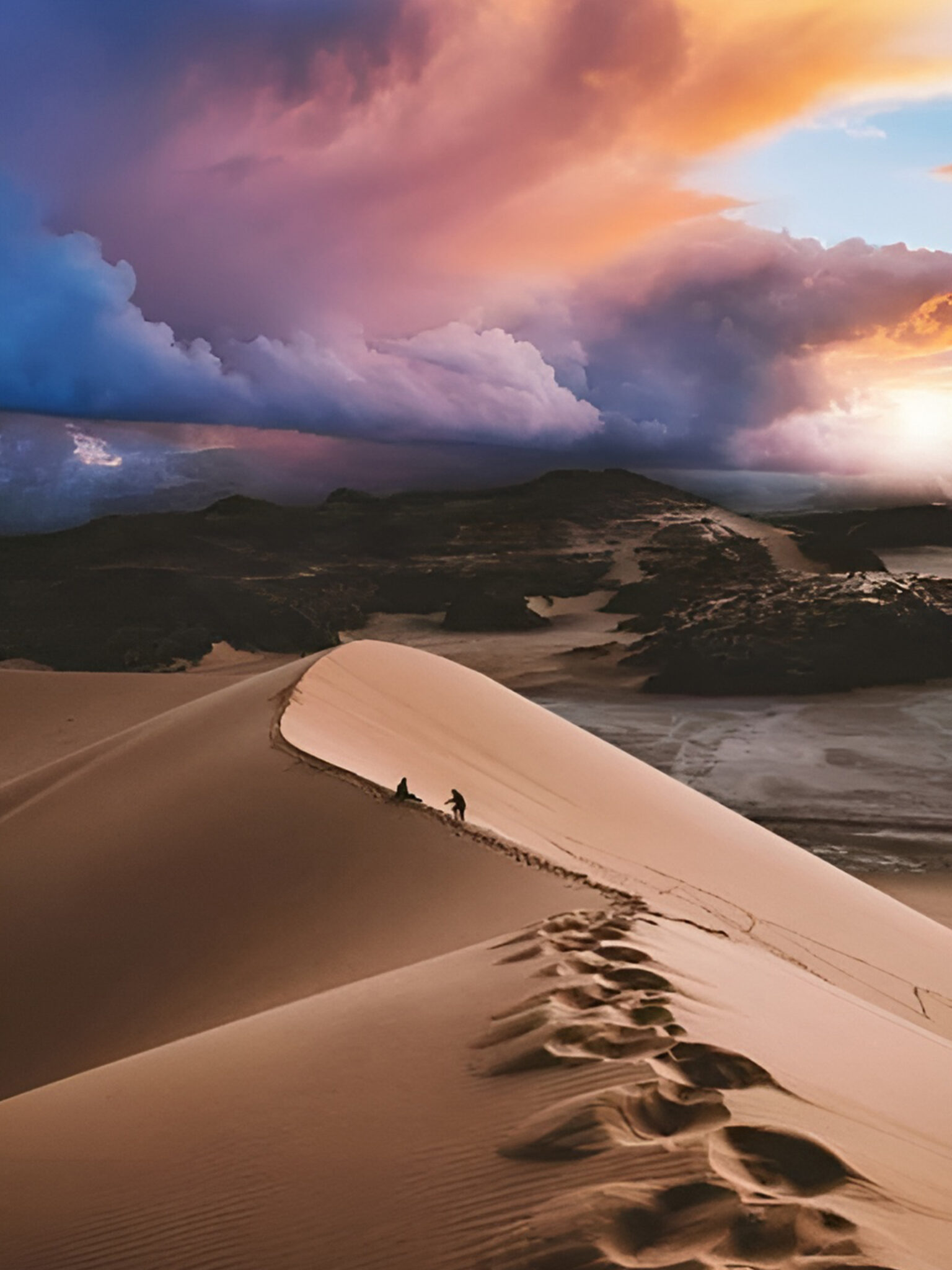 69ba3fec49b72022497f74f903efb364 (1)