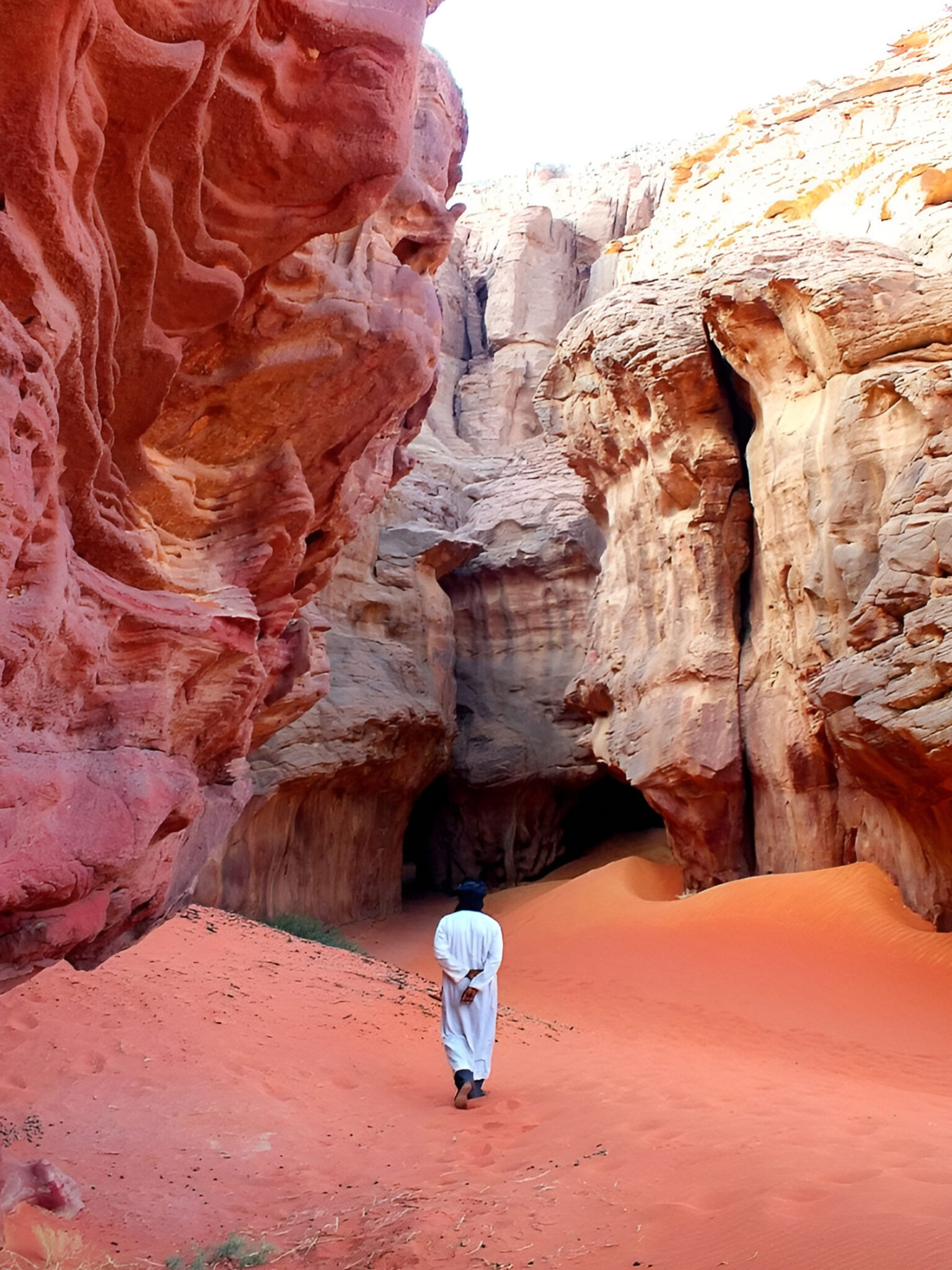 704100b7a5eb712f2d21bb68d52a5b29 (1)