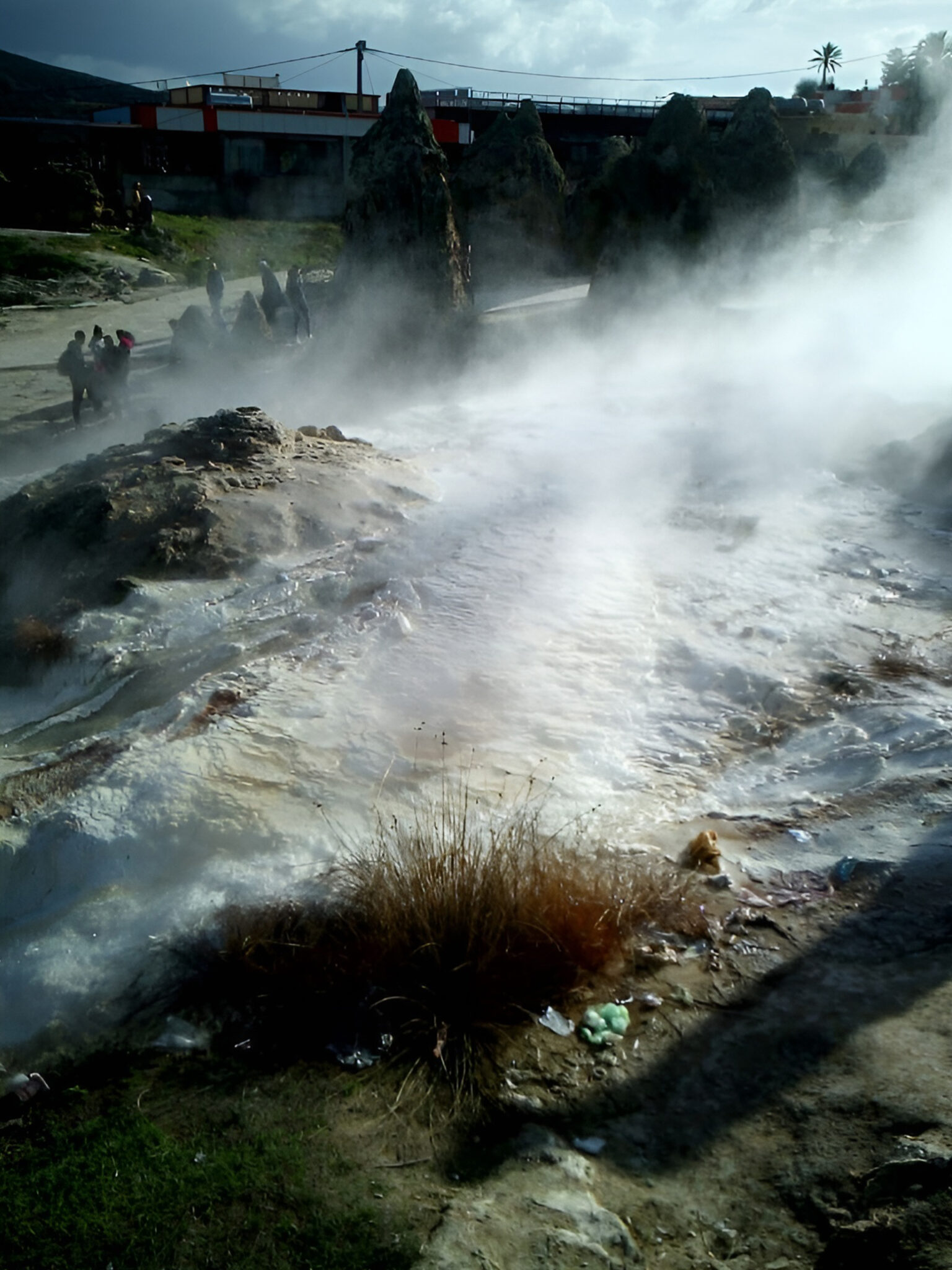 7d1c086ab6ba7175e1ee9eecb0d095f0 (1)