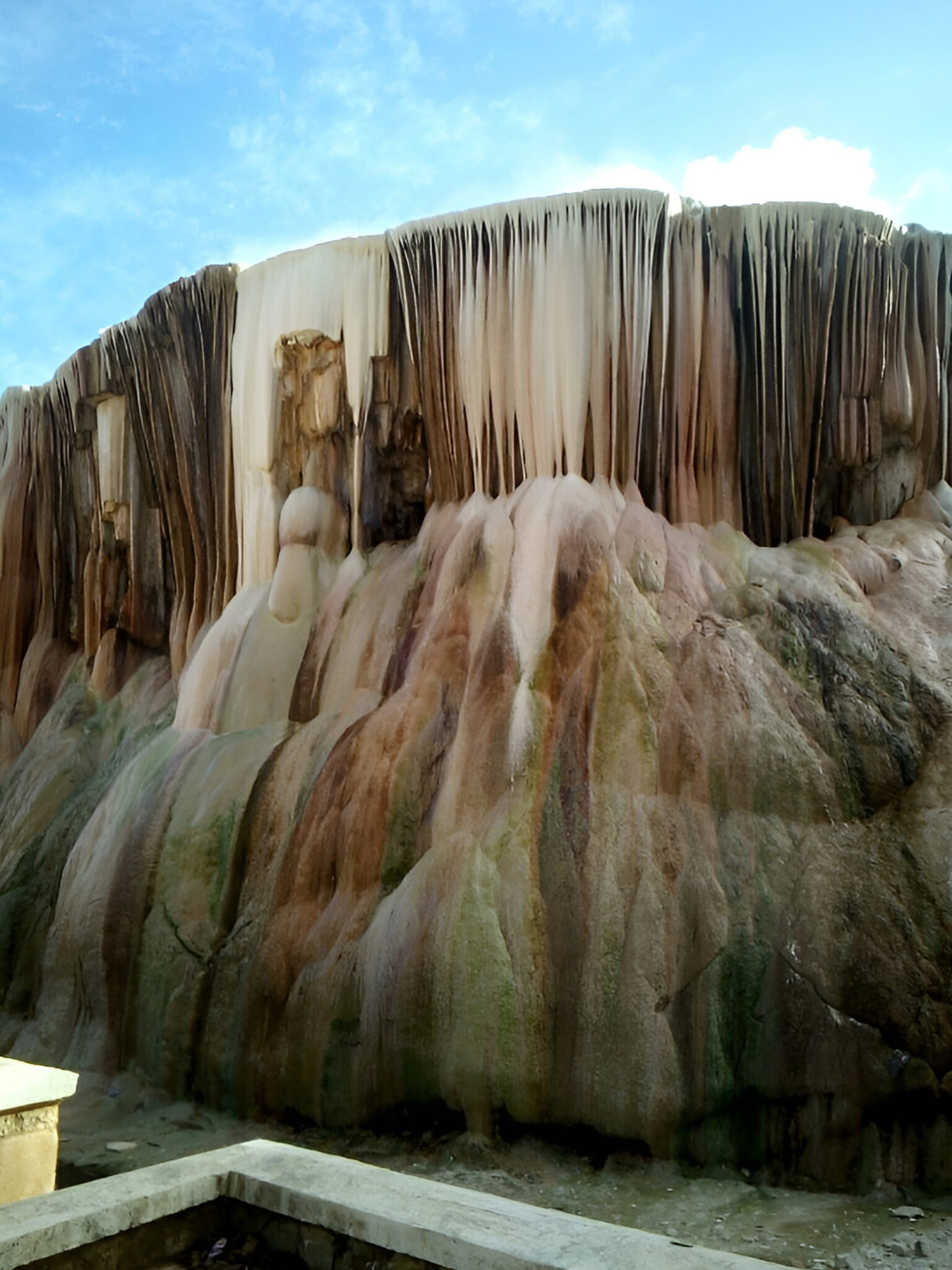 7f5586dfd61b3b02a912473ddb0a595f (1)