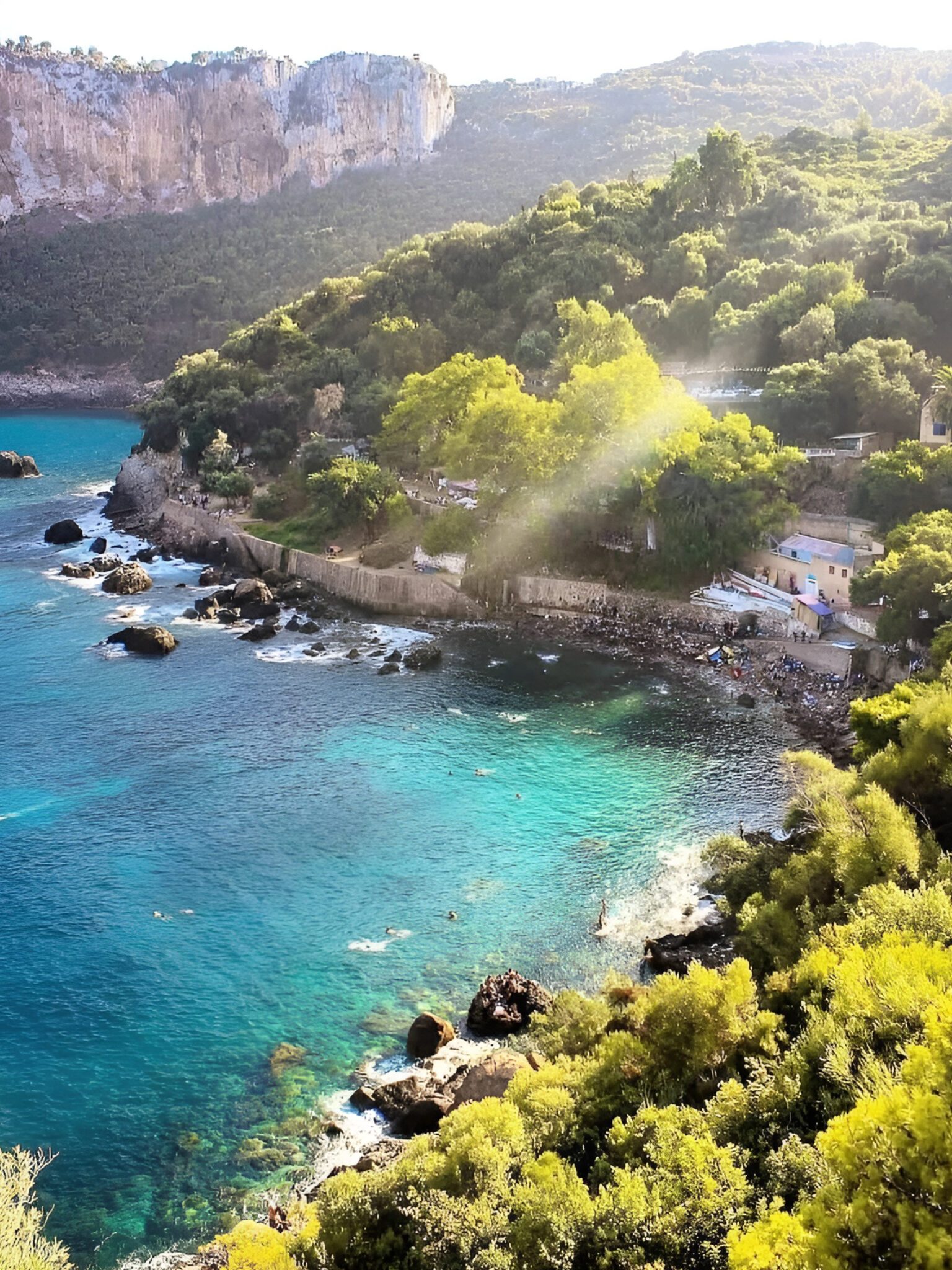 d8cb13fc6da83ee6b0706d1559b02d6d (1)